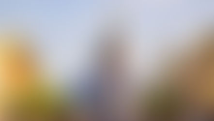 Disney Parks generate $40.3 Billion for the Florida Economy, supporting more than 263,000 Florida Jobs