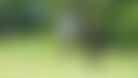 Enjoy a day of great golf, delicious food and good friends at Give Kids The World's Playing Fore Wishes Golf Classic