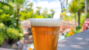 Cheers to Summer - Free Beer is back at SeaWorld Orlando!