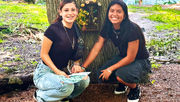 Have you heard the news? Fairy Doors are back at Harry P. Leu Gardens this summer!
