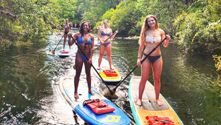 Wekiva Island acquires paddleboard rental and tour company, Paddleboard Orlando