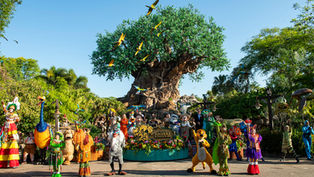 Jeff Vahle, President of Walt Disney World shares 25 Years of Memories at Disney’s Animal Kingdom