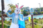  Splash into Spring at Island H2O Water Park's Egg-Citing Egg-Stravaganza!
