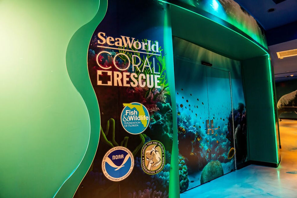 SeaWorld Orlando celebrates World Oceans Day with Anniversary of SeaWorld Coral Rescue Center