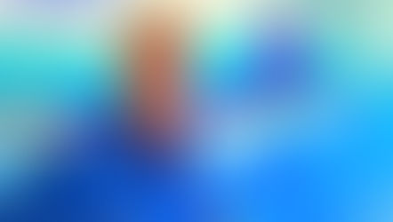 Renowned Marine Artist and Conservationist Guy Harvey returns to SeaWorld Orlando May 16 - 17