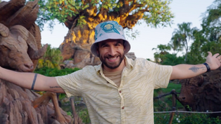 First Look - Animal Kingdom will celebrate its 25th Anniversary with new limited time offerings