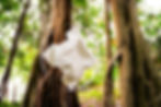 Experience Origami In The Garden At Leu Gardens