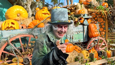 Free & Cheap Things To Do In Orlando This Weekend October 25 - 27, 2024