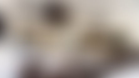 Island Life arrives in Winter Park as Tommy Bahama Restaurant and Marlin Bar opens in Winter Park Village