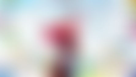 Celebrate America's Favorite Citrus at the 2026 Space Coast Key Lime Pie Festival!