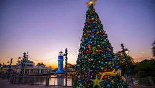 Check Out SeaWorld Orlando's December Pass Member Rewards