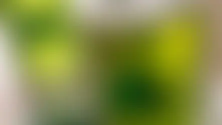 St Patrick's Day Food and Drinks Specials in Orlando