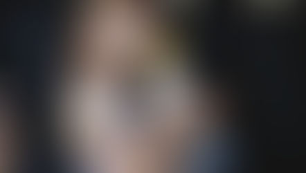 The Sunshine Flyer now offering Private Transportation between MCO & Walt Disney World