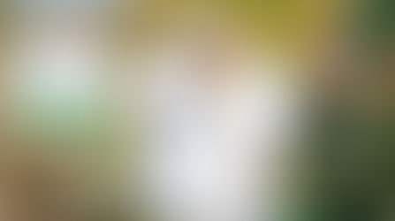 The Top 10 Things To Do in Orlando this Weekend, December 12 - 14, 2025