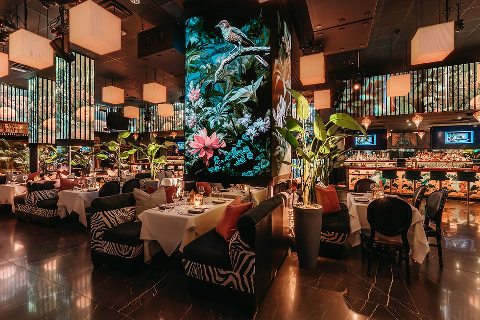 KALI Dining Room at Corazón by Baires opens May 15, unveiling Orlando’s newest culinary experience