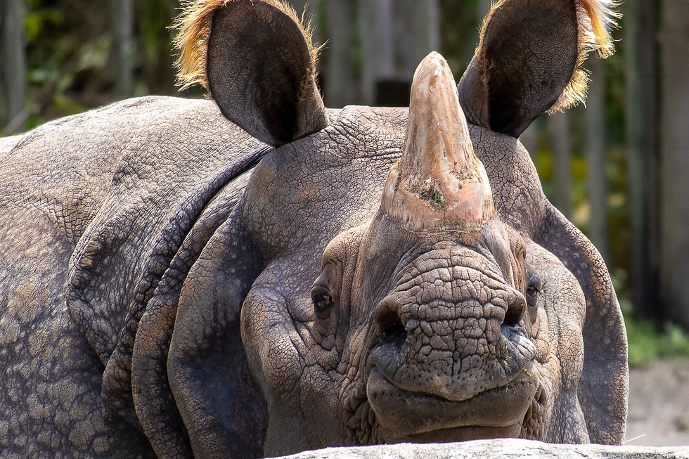 Central Florida Zoo honors first responders with Free Admission on September 12