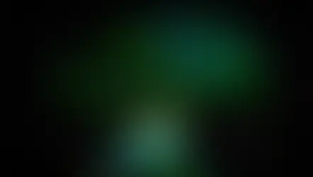 Tree of Life Awakenings Showtimes end this weekend at Disney's Animal Kingdom