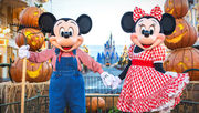 Orlando Fall Events Guide 2026 with Festivals, Food and Fun