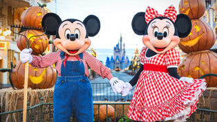 Orlando Fall Events Guide 2026 with Festivals, Food and Fun