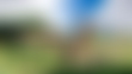 A Timeline of the First 25 Thrilling Years at Disney's Animal Kingdom Theme Park