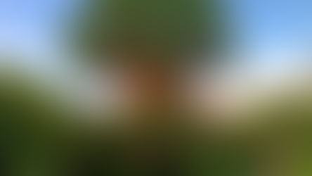 Disney’s Animal Kingdom celebrates 25 Years showcasing the Magic of Nature - A look back at 25 Years