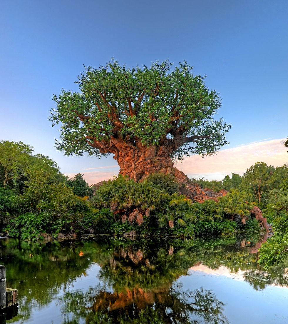 Disney’s Animal Kingdom celebrates 25 Years
