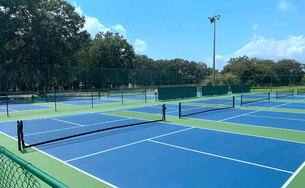 Pickle! Winter Garden to host St Paddle's Day Community Pickleball Fest 2024
