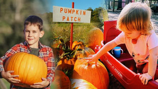 Fall into the Best Pumpkin Patches in Orlando