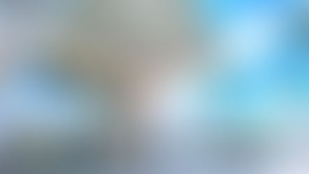 Love Is In The Air at The Florida Mall with Shoppers enjoying a Sweet and Festive Valentine's Day