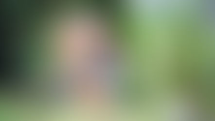 New Sumatran Tiger, Conrad Roars Into Maharajah Jungle Trek At Disney’s Animal Kingdom