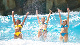 Celebrate Noche de San Juan at Adventure Island in Tampa Bay!