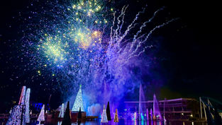SeaWorld Orlando invites guests to Ring in 2025 with a Spectacular New Year’s Eve Celebration