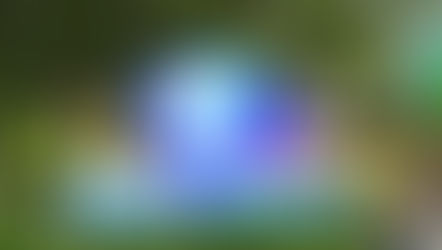 The Colorful World of DreamWorks Animation coming to Universal Studios Florida in 2024