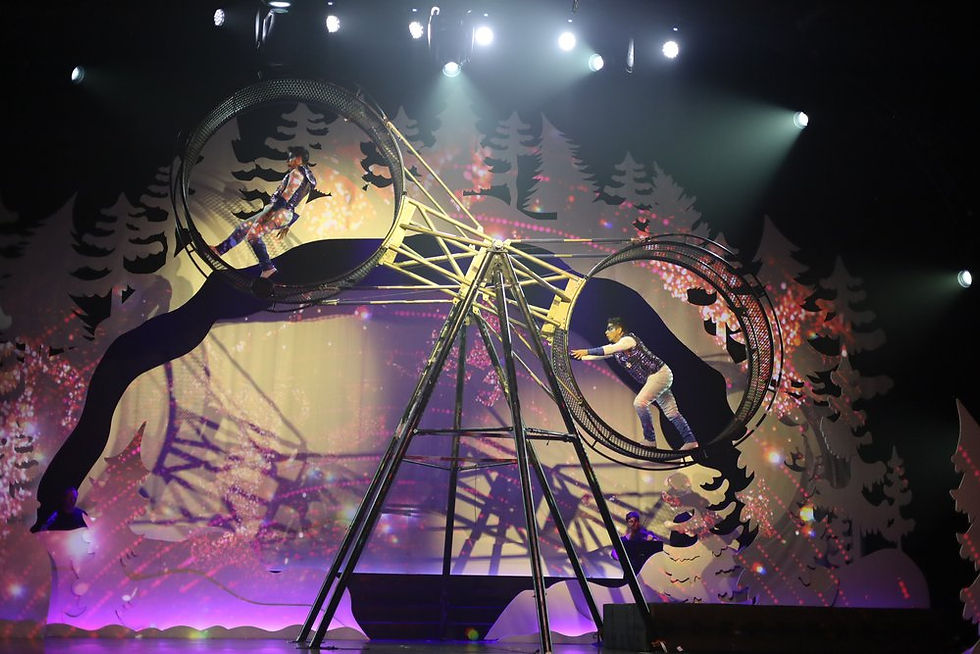 Cirque Musica: Holiday Wonderland