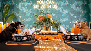 Lil Rascals Dog Rescue is hosting their 2nd Annual Ties and Tails Gala and everyone is invited!