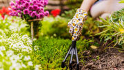 Enjoy Outdoor Living ‘Florida-Style’at the 2026 Orlando Fall Home & Garden Show