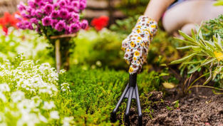Enjoy Outdoor Living ‘Florida-Style’at the 2026 Orlando Fall Home & Garden Show