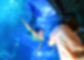Dive into the magic of Mermaids at SEA LIFE Orlando Aquarium on select dates this May