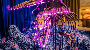 Join Stan the T-Rex At The Orlando Science Center For The Dinos In Lights Show