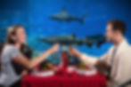 Surprise your sweetheart this Valentine’s Day with a one-of-a-kind dinner at Sharks Underwater Grill and Bar!