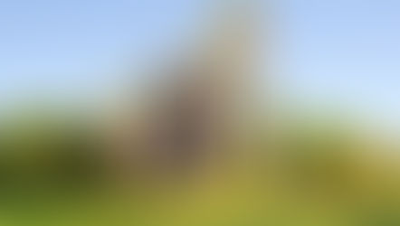 Enjoy a journey through the forest as live storytelling performances comes to Scott Springs Park in Ocala