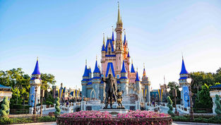 Travel site says Walt Disney World is overrated, together with The Everglades, and ALL Cruises!
