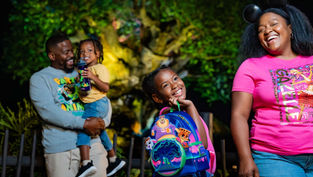 New Koala-ty Merch coming to Animal Kingdom starting November 7 for the opening of Zootopia: Better Zoogether