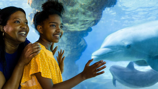 Teacher Appreciation Week Deals and Discounts in Orlando 2024