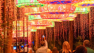 The Asian Lantern Festival: Into The Wild returns to light up Central Florida Zoo with all-new theming!