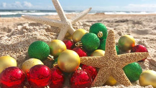 Road Trip - Check Out what's happening in the Daytona Beach Area for the Holidays!