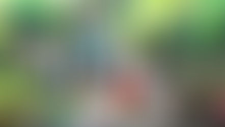 VIDEO: Imagineer Teases MagicBand+ Interactivity for Journey of Water – Inspired by Moana Attraction