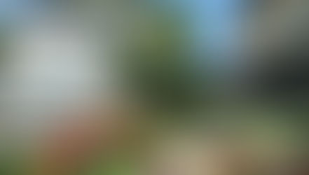 Check in for "The Real Orlando Food Tour" at East End Market