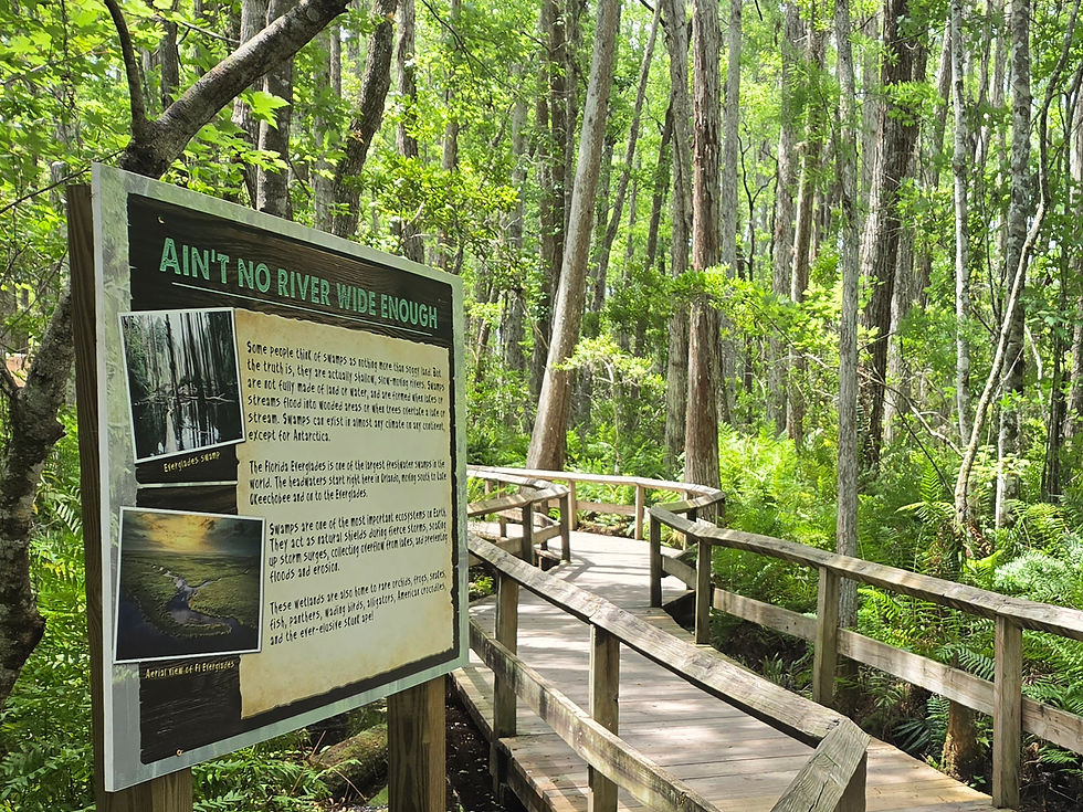 Gatorland partners with Conservation Florida for Earth Month highlighting last remaining wild spaces in Florida