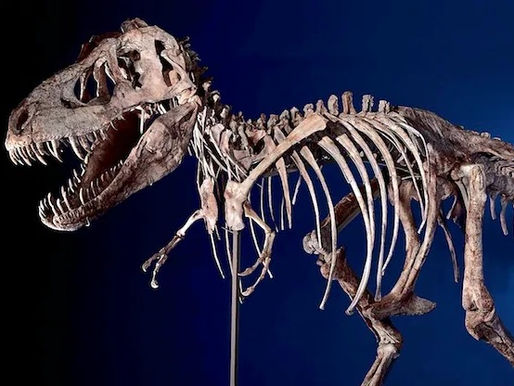 New Dinosaur Exhibit and Jurassic Mini Golf roars into Dinosaur World in Plant City